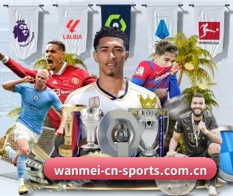 完美体育网页版 APP(WMSPORTS)